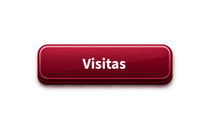 Visitas Visitas