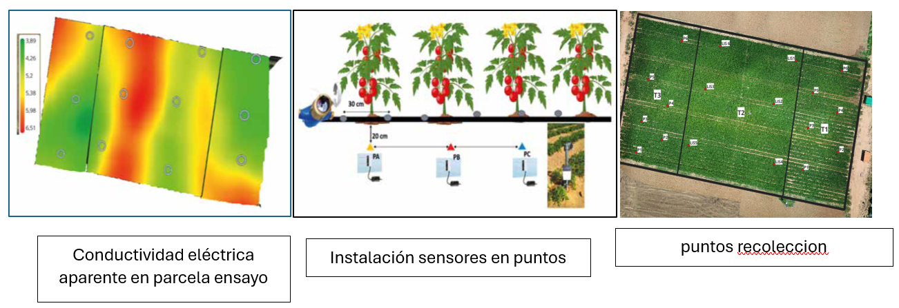 et4drofig6a et4drofig6a